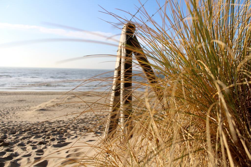 Hofje Van Maas Zandvoort Kültér fotó